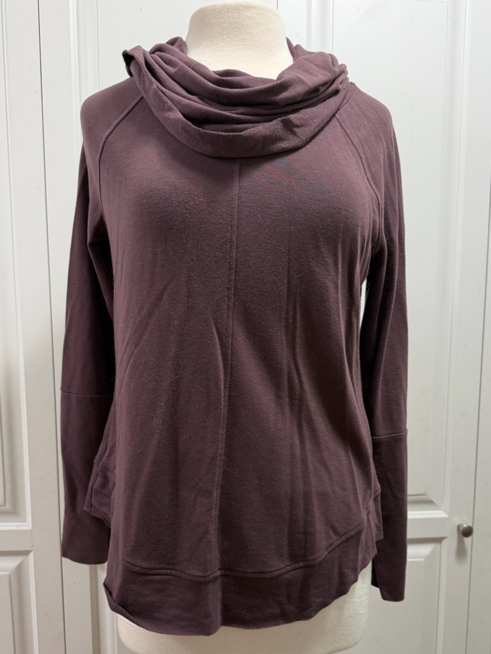 Cupio Mauve Cowl Neck Long Sleeve Pullover